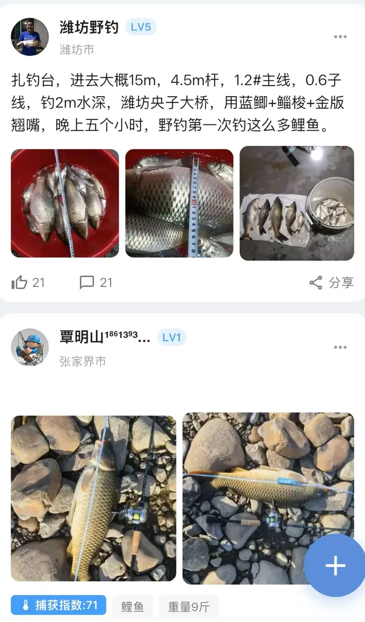 钓友圈信息流：两条钓友帖子，分别晒出潍坊的鲫鱼和张家界的鲤鱼