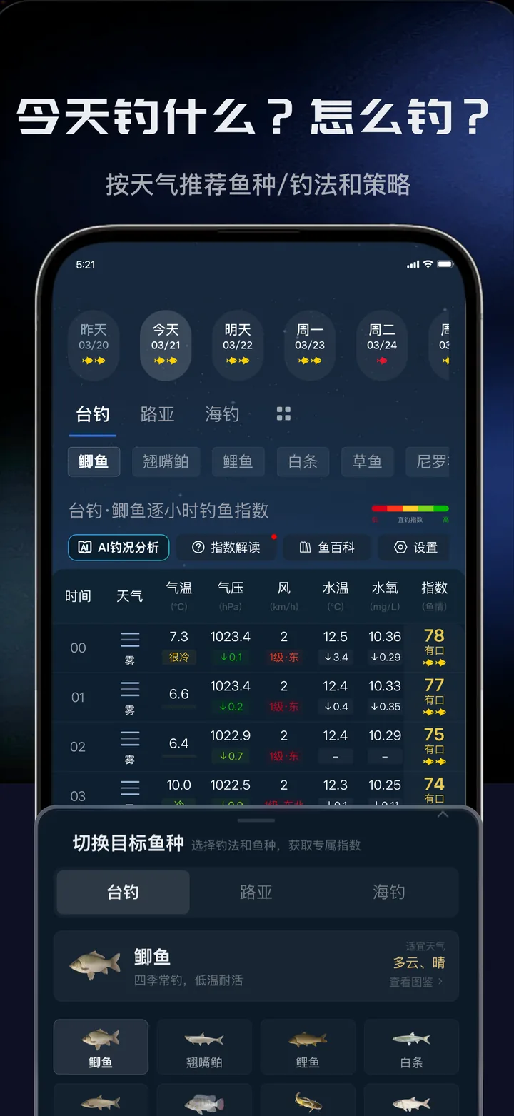 应用市场宣传图：今天钓什么？怎么钓？